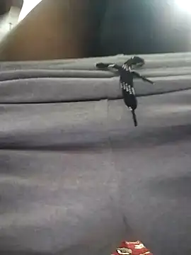 knightwolf9935 online show from January 2025 12:48:02 PM