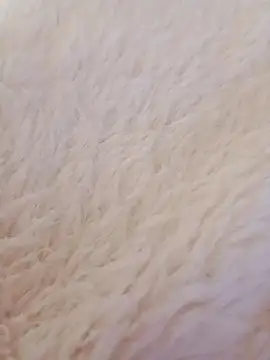 feketedemon36 online show from January 2025 09:15:01 PM