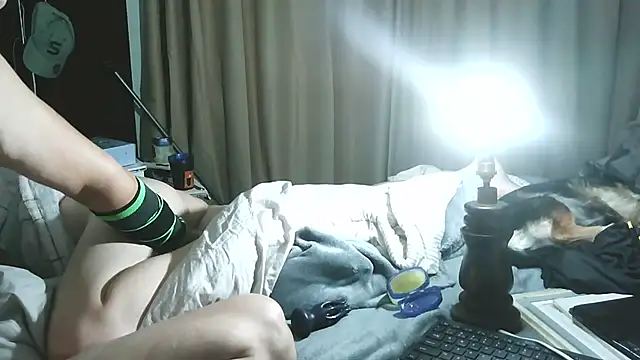 xylegs online show from June 2026 02:47:02 AM