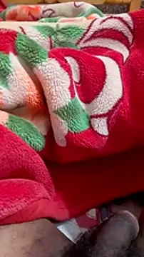 Snapshot of mhmia chatting on January 2025 03:40:01 PM mhmia online show from January 2025 03:40:01 PM