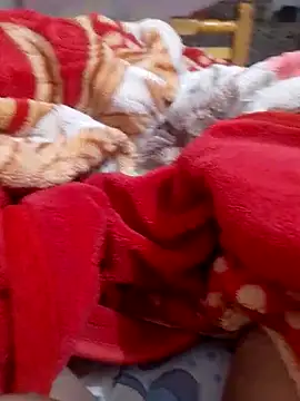 Snapshot of mhmia chatting on February 2025 01:16:02 AM mhmia online show from February 2025 01:16:02 AM