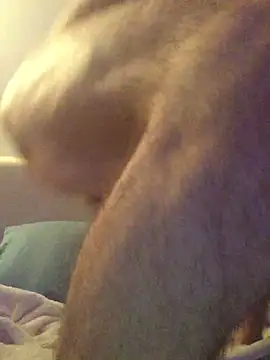 Pilote19 online show from December 2025 05:51:02 PM