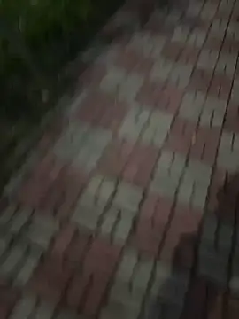 Phil 6677 online show from October 2025 06:51:02 PM