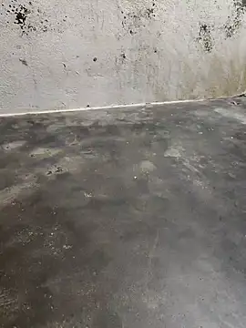 Snapshot of sweety006telugu chatting on January 2025 10:10:01 AM sweety006telugu online show from January 2025 10:10:01 AM