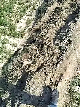 xmanrawan2 online show from February 2025 07:29:02 AM