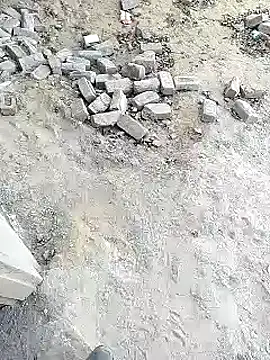 xmanrawan2 online show from February 2025 10:38:02 AM