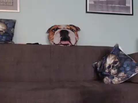 Snapshot of Astrid-Gilbert chatting on February 2025 11:12:02 AM Astrid-Gilbert online show from February 2025 11:12:02 AM