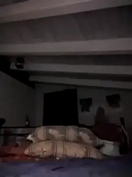 divinaerotica online show from November 2025 05:48:02 PM