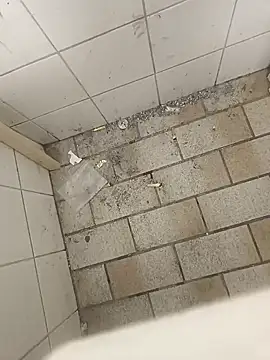 wadmma online show from November 2025 08:47:01 AM