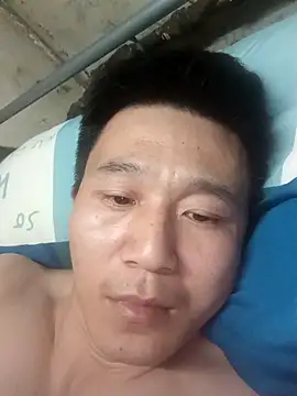 wadmma online show from March 2026 04:37:01 AM