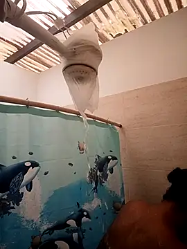 Zaira Rose  online show from February 2026 01:09:02 PM