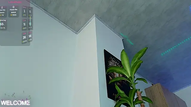 Dwayne Brown online show from March 2026 07:03:02 PM