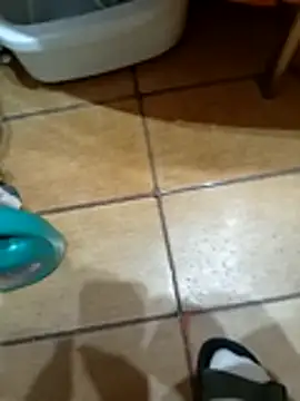 NAvoglia online show from March 2026 11:55:01 PM