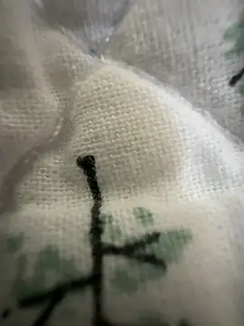 sissyboijamie1313 online show from February 2026 08:54:01 PM