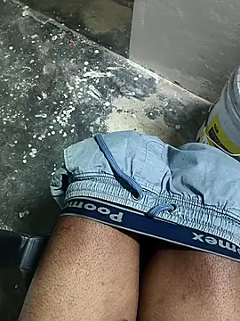 omni 333 online show from February 2026 02:54:01 PM