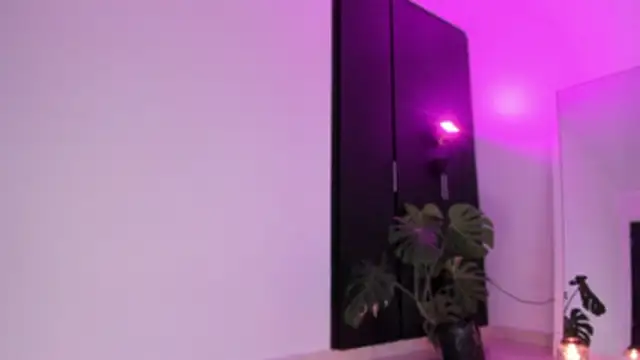 ggor4w33 online show from February 2026 02:56:01 AM