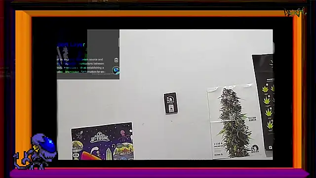 Snapshot of ReyDeBotones chatting on March 2025 09:00:02 PM ReyDeBotones online show from March 2025 09:00:02 PM