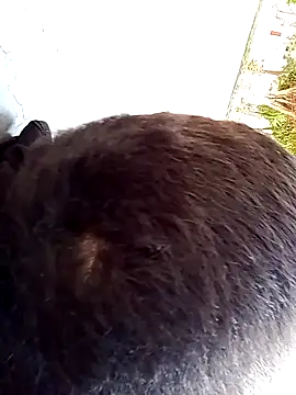 Elgroney23 online show from December 2025 04:58:02 PM