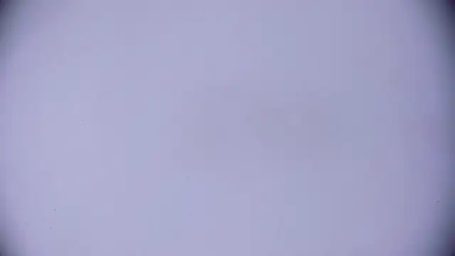 Ashlyaurora online show from March 2025 07:58:02 AM