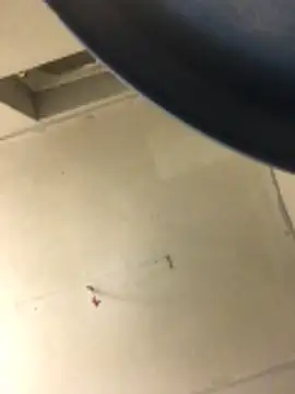 Snapshot of cumcum94 chatting on February 2026 07:53:02 PM cumcum94 online show from February 2026 07:53:02 PM