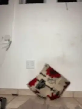 Cuddle Bear online show from February 2025 12:52:01 AM