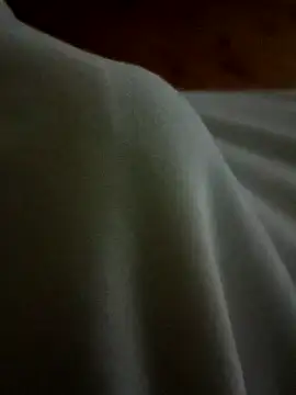 Snapshot of Arabian chatting on February 2025 08:47:01 PM Arabian online show from February 2025 08:47:01 PM