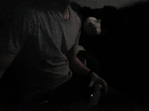 Snapshot of MarioKnero chatting on February 2026 09:52:02 AM MarioKnero online show from February 2026 09:52:02 AM