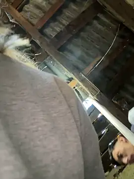 hotamanda01 online show from November 2025 01:00:01 PM