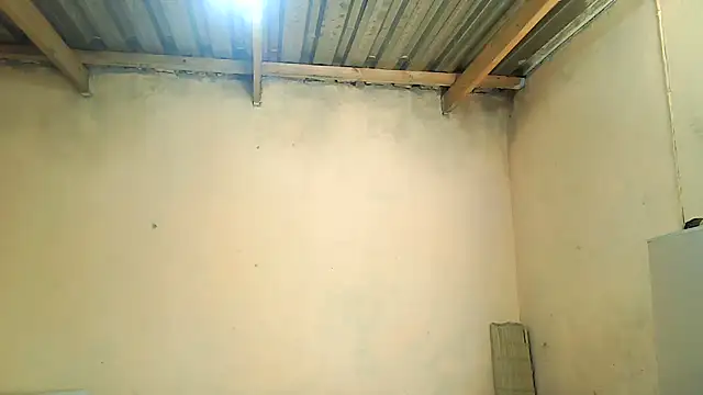 01applebottom online show from November 2025 10:06:01 AM