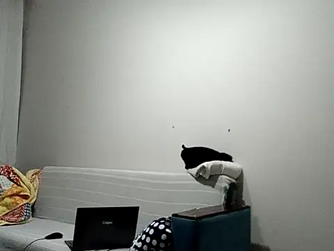 Snapshot of BellBort chatting on March 2026 07:42:01 PM BellBort online show from March 2026 07:42:01 PM