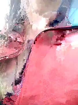 Snapshot of PPP_25 chatting on November 2025 11:34:01 AM PPP 25 online show from November 2025 11:34:01 AM