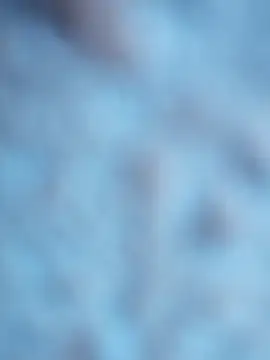 Snapshot of maialani chatting on October 2025 09:07:02 AM maialani online show from October 2025 09:07:02 AM