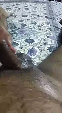 desi pb02 online show from September 2025 02:28:02 PM