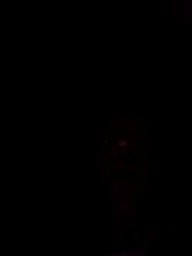 Nidge251 online show from March 2026 12:51:01 AM