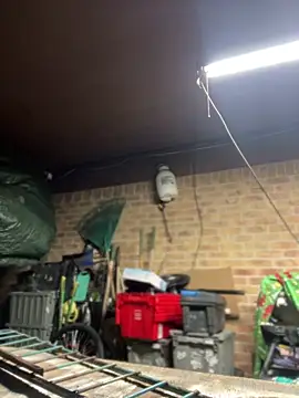 HTXBELLE online show from March 2026 03:01:01 AM