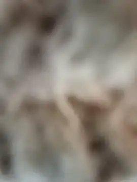 mauroxx08 online show from April 2026 03:20:02 PM