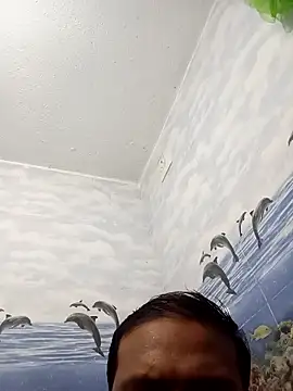 welsaro online show from February 2025 03:14:02 PM