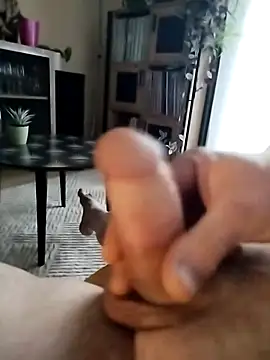 Snapshot of Davestco31 chatting on March 2025 06:00:01 PM Davestco31 online show from March 2025 06:00:01 PM