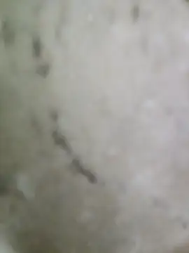 pussyfatasss online show from September 2025 05:23:01 AM