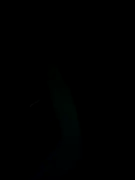 SunnY-0124xh online show from February 2025 05:47:01 PM