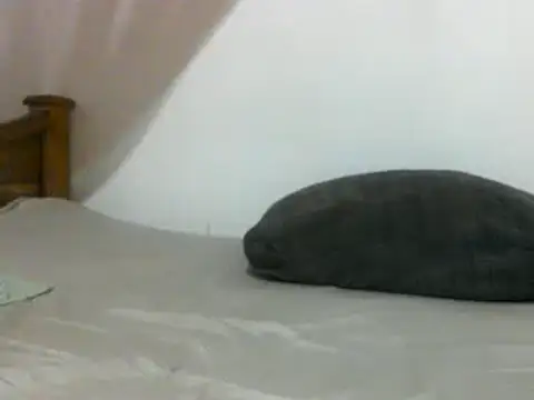 sissydinu online show from February 2025 06:10:02 AM