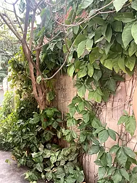 Snapshot of twinks_28 chatting on January 2026 08:36:01 PM twinks 28 online show from January 2026 08:36:01 PM