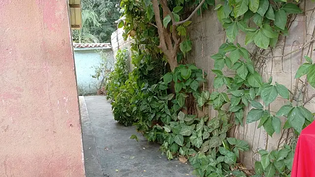 Snapshot of twinks_28 chatting on January 2026 08:45:02 PM twinks 28 online show from January 2026 08:45:02 PM