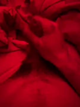 ruchacz24 online show from March 2025 02:51:02 AM