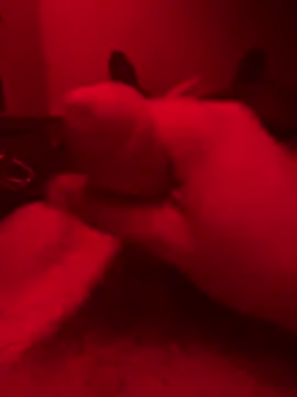 ruchacz24 online show from October 2025 01:50:02 AM