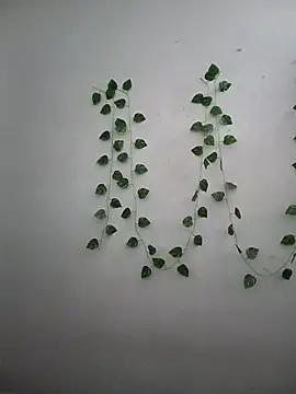 Snapshot of Neha-Bhabhi-Rasily chatting on December 2025 07:47:02 AM Neha-Bhabhi-Rasily online show from December 2025 07:47:02 AM