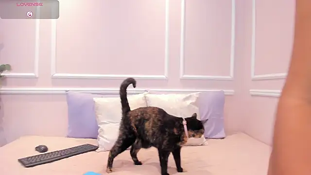 Lucy Canel online show from January 2026 07:11:01 PM