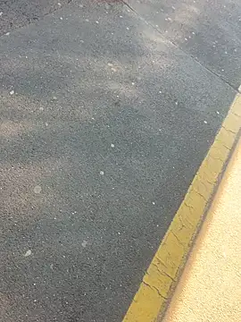 Snapshot of sohasenki chatting on April 2026 02:03:02 PM sohasenki online show from April 2026 02:03:02 PM