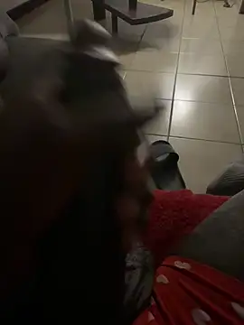 Snapshot of Goodball88 chatting on February 2026 03:07:02 AM Goodball88 online show from February 2026 03:07:02 AM