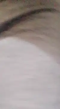 patrona sexooo online show from March 2025 08:42:01 PM